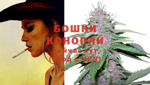 бутират Медвежьегорск