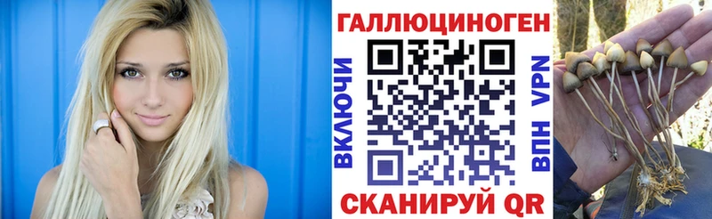 купить наркоту  Сальск  hydra ССЫЛКА  Псилоцибиновые грибы ЛСД 