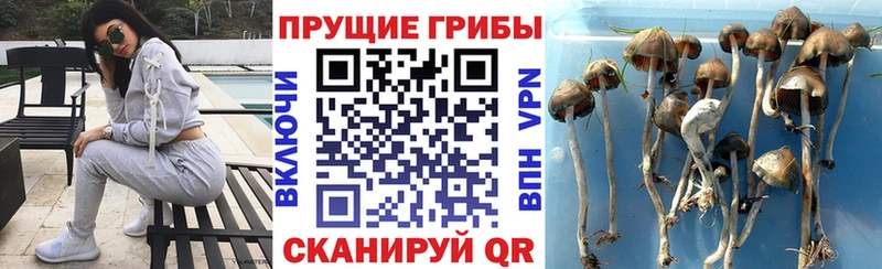 Галлюциногенные грибы MAGIC MUSHROOMS Сальск
