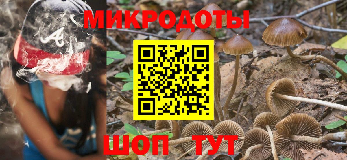 Псилоцибиновые грибы Psilocybe  Вход с VPN  Сальск 