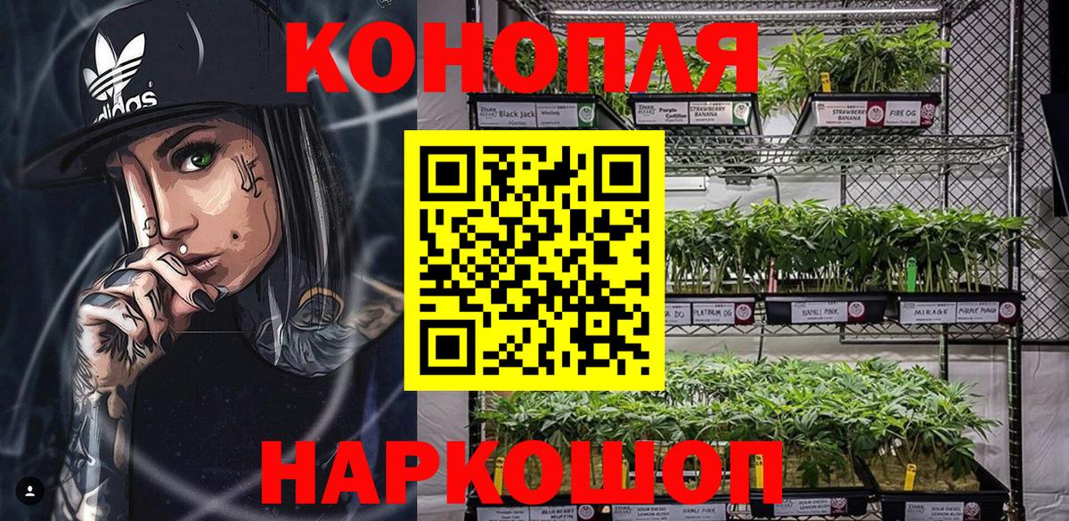 Сальск  Каннабис Bruce Banner  Бошки марихуана ГИДРОПОН  Вход с VPN  Конопля план 